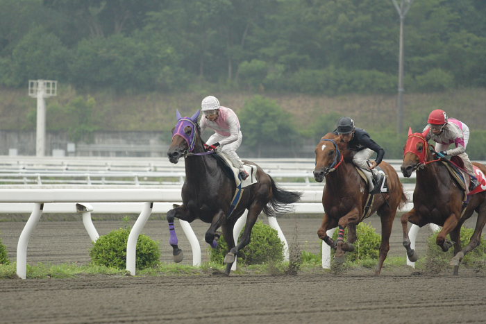 2007年6月24日（日） 高知競馬 6R_a0077663_19372487.jpg