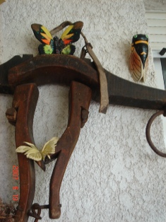 f0136579_01228.jpg