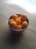 e0029132_10164259.jpg