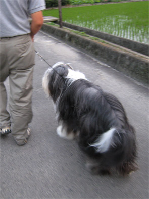 e0114637_0221.jpg