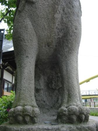 成田山青森寺(せいしんじ)の狛犬　青森市栄町_d0108344_1531070.jpg