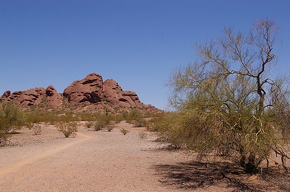 Papago Park_d0118862_833118.jpg