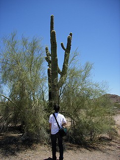 Papago Park_d0118862_891620.jpg