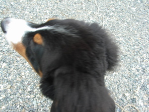 e0124868_1212560.jpg