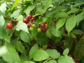 ひろがっていく心と線_d0023170_18564043.jpg