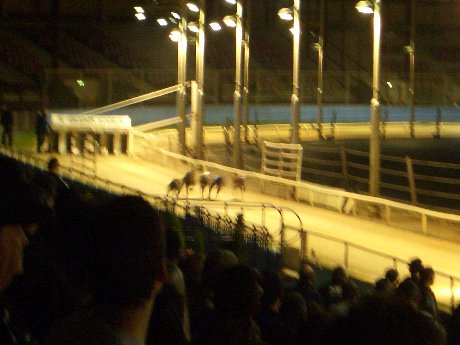 Dog Racing !!!!!! & 一言English_f0046489_4503413.jpg