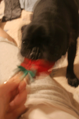 d0100095_2338082.gif