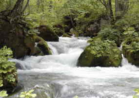 d0001702_22414949.jpg