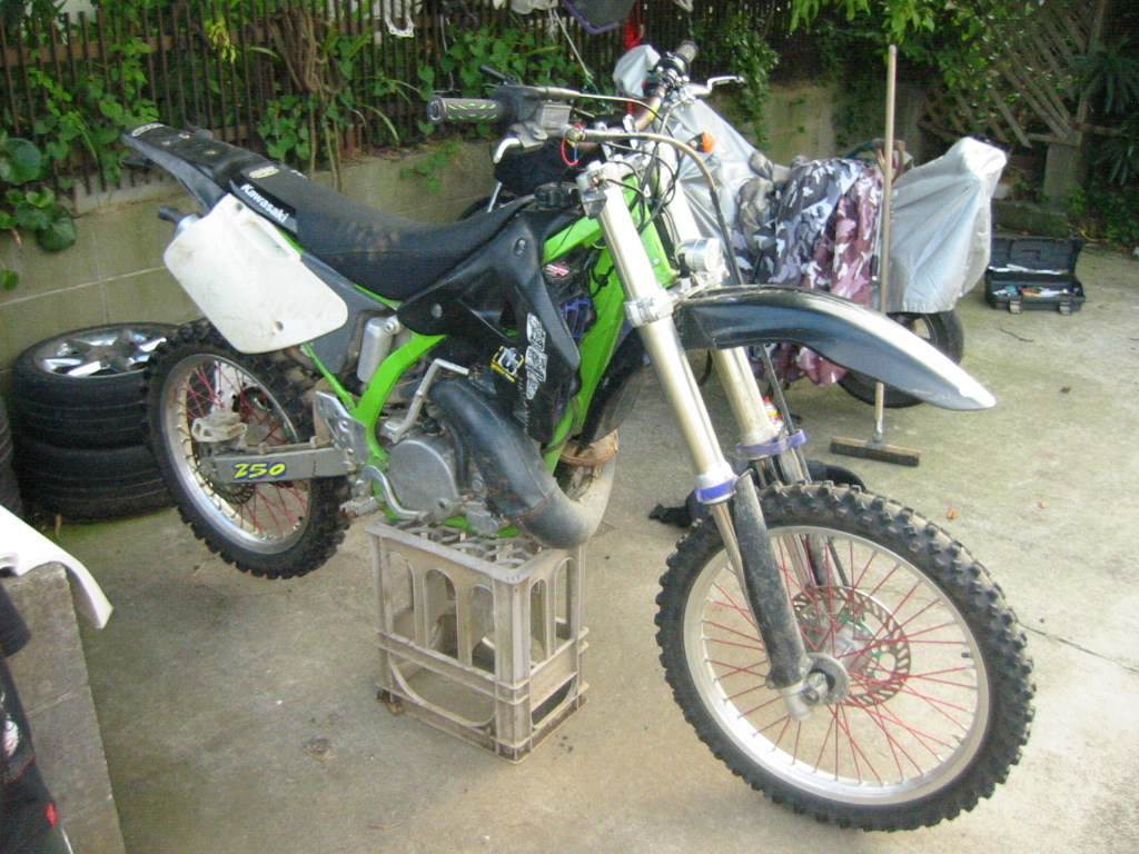 d0118304_9513651.jpg