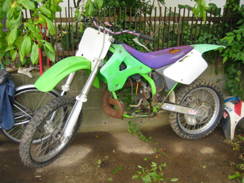 d0118304_958484.jpg
