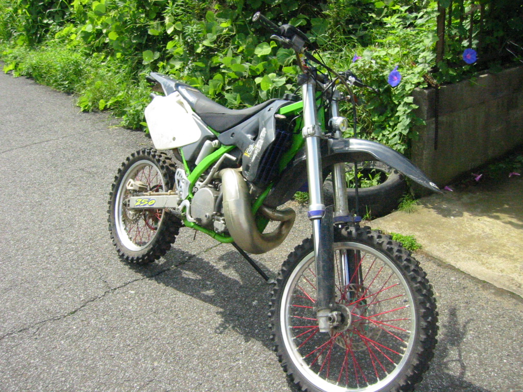 d0118304_9593878.jpg