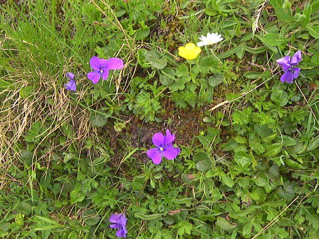 f0038407_1014966.jpg