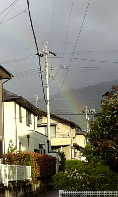 雨上がりの朝_d0005912_810446.jpg