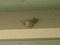 e0100618_18554125.jpg