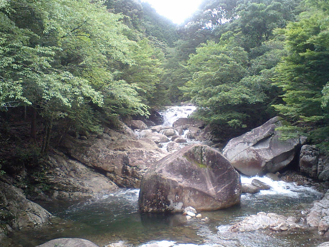 c0117028_215843.jpg