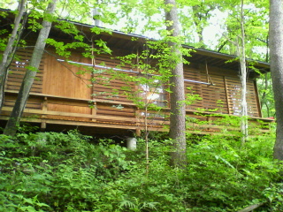 b0075140_1873718.jpg
