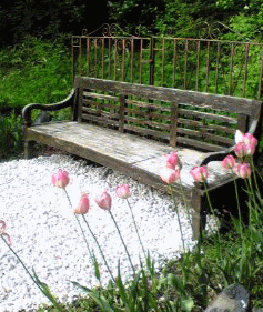 f0063944_17474786.gif