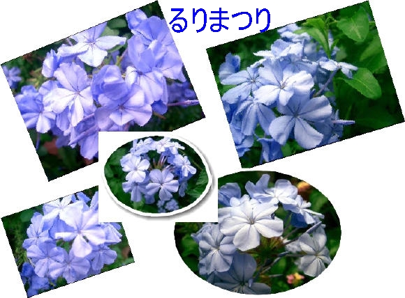 f0031546_19511029.jpg