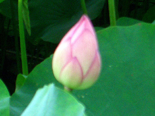 f0031546_92033.jpg
