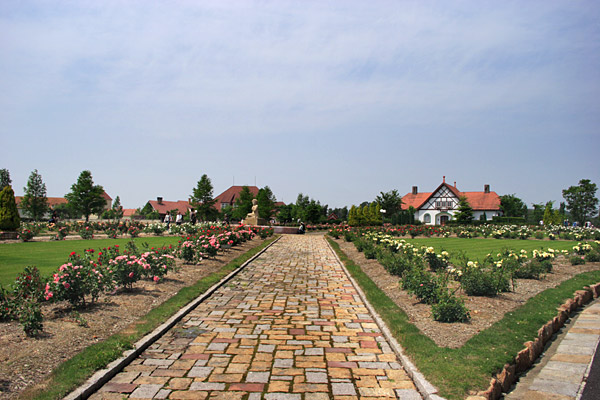 d0118451_23271623.jpg