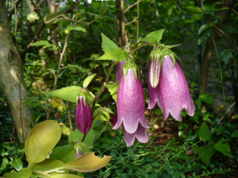 a0063364_2317561.jpg