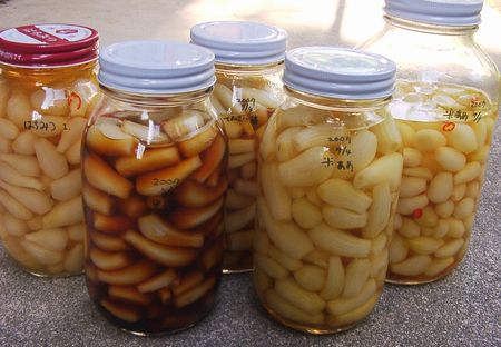 らっきょう漬け 知りたがりやの食べたがりや らっきょう漬け 知りたがりやの食べたがりや
