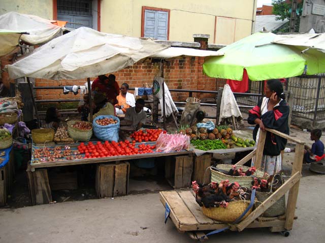 a0086274_9503086.jpg