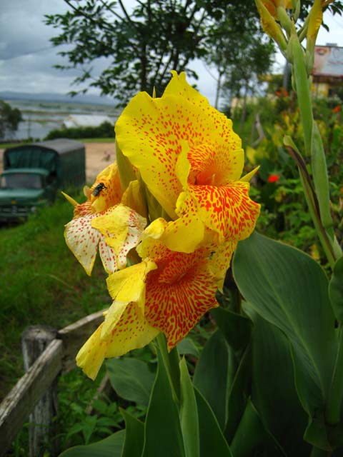 a0086274_950586.jpg