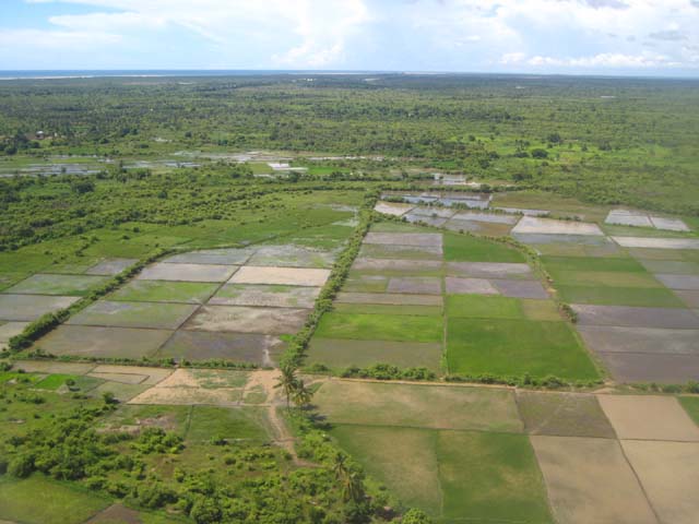 a0086274_951369.jpg