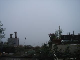 2007年7月4日 雨だわ _b0098584_1463215.jpg