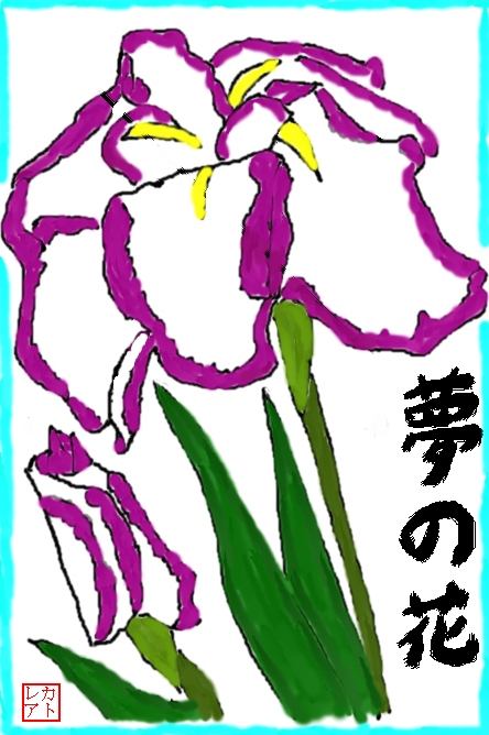 絵手紙・・・初夏・・・ハナショウブ（花菖蒲）・・・ナナイロノユメ（七彩の夢）・・・アヤメ科_f0124098_1143348.jpg