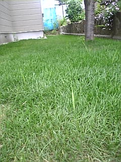 e0113915_83653.jpg