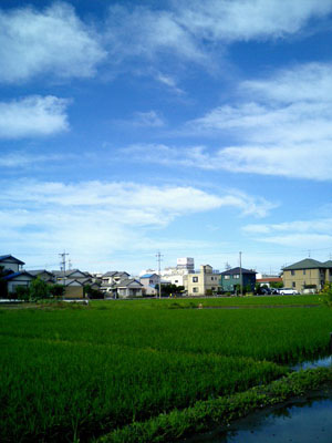 魚と透き通る青空!_f0129627_93188.jpg