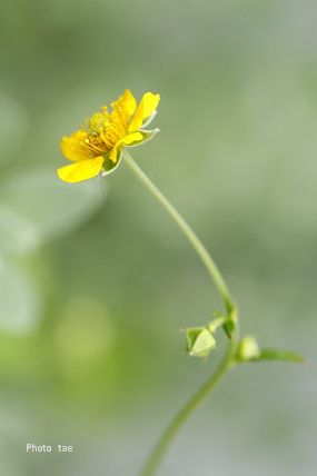 f0005733_20112453.jpg