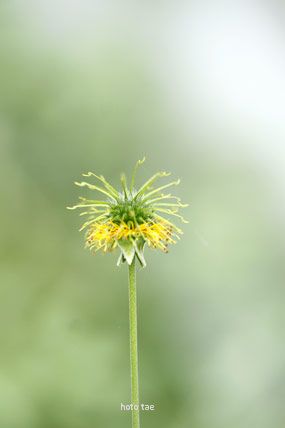f0005733_20114194.jpg