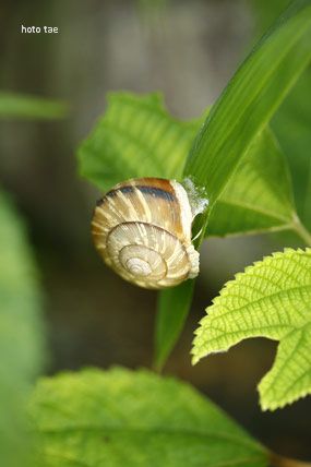f0005733_2012352.jpg