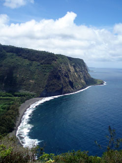 ＊Thank you for your TACO!!!　　,Waipio valley  Hawaii_a0030038_9123034.jpg