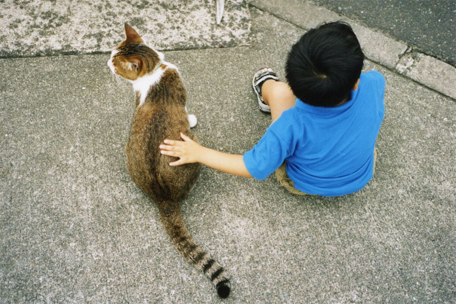 自由飼い猫が寛ぐとき_b0060239_214232.jpg