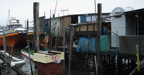 c0042548_10143499.gif