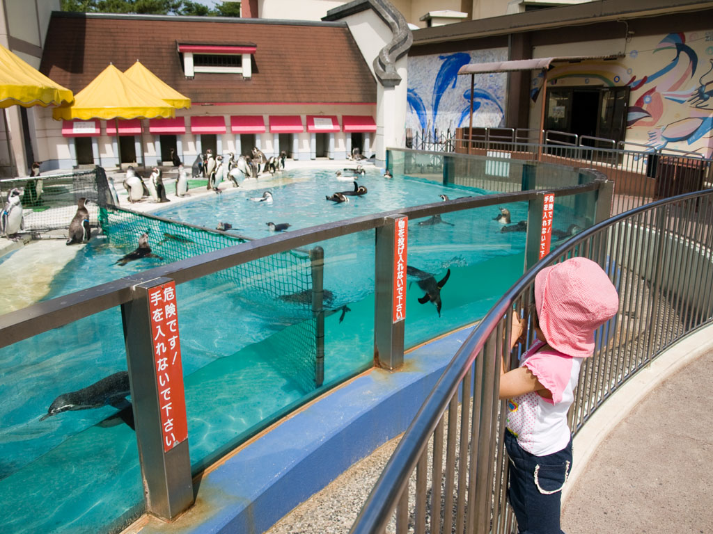 宮島水族館_f0143954_21305957.jpg