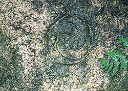 f0142070_2361765.jpg
