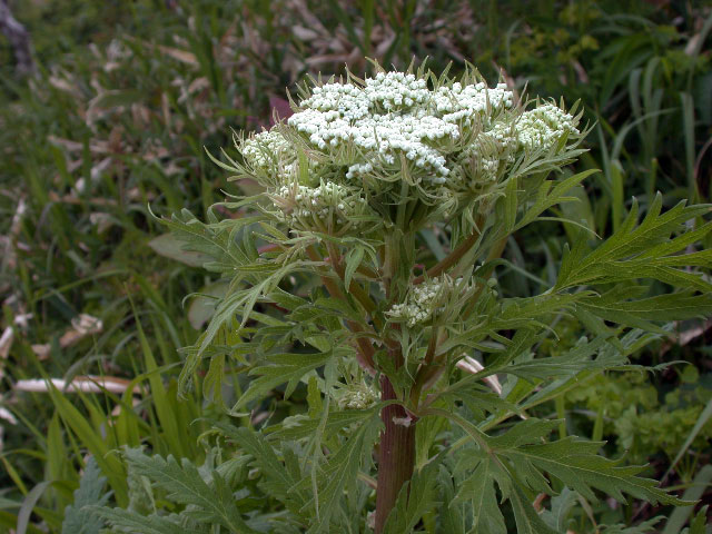 e0100772_22524844.jpg