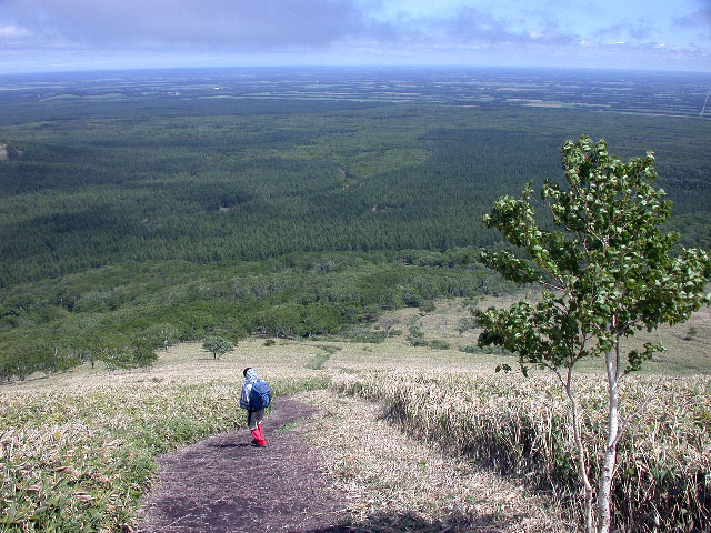 e0100772_22561338.jpg