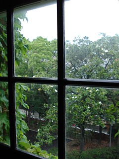 e0108276_823833.jpg