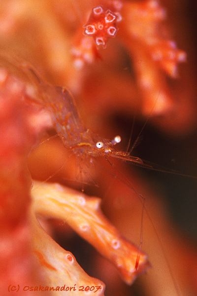 c0064907_1115078.jpg