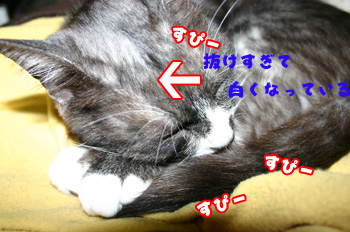 a0041108_2162613.jpg