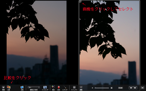 撮影画像を比較する_f0100215_20492332.jpg