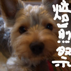 c0036617_8585879.jpg