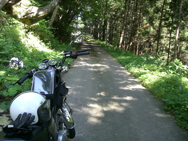 a0095427_22986.jpg