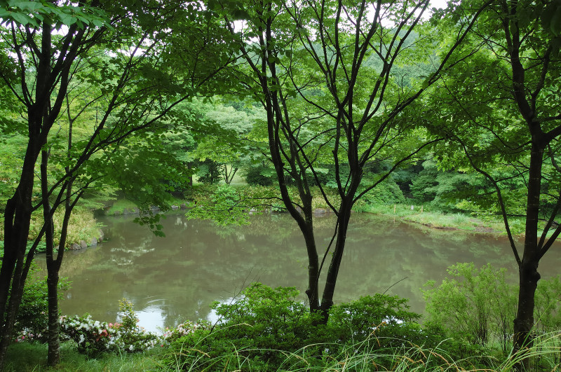 b0109942_19194080.jpg